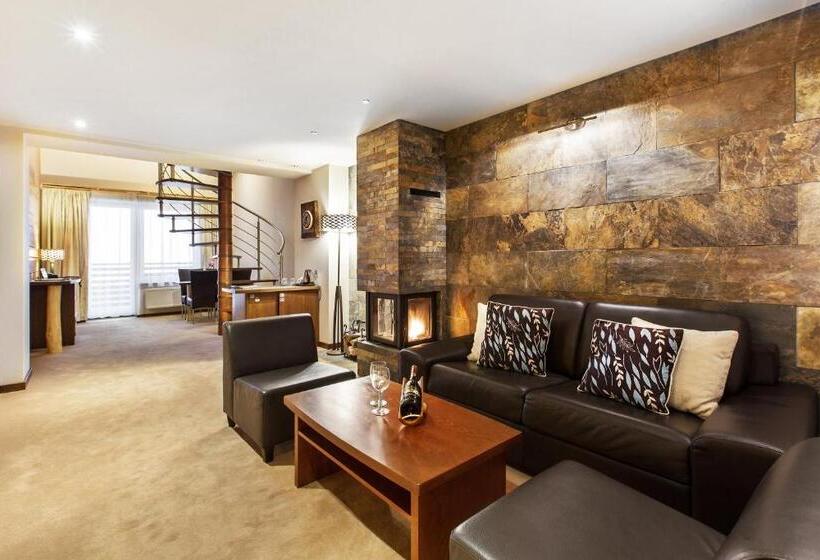 复式套房, Partizan