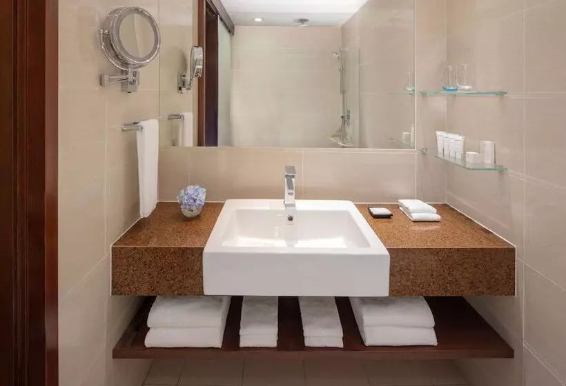 اتاق سوپریور, Radisson Hotel Brunei Darussalam