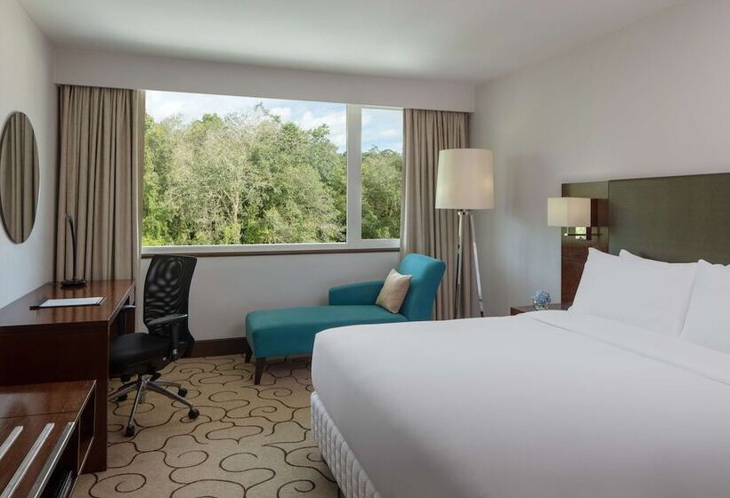 اتاق سوپریور, Radisson Hotel Brunei Darussalam