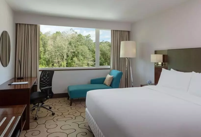 اتاق سوپریور, Radisson Hotel Brunei Darussalam