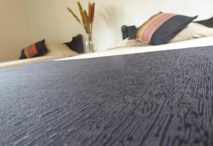 اتاق لوکس سه تخته, Sagarnaga