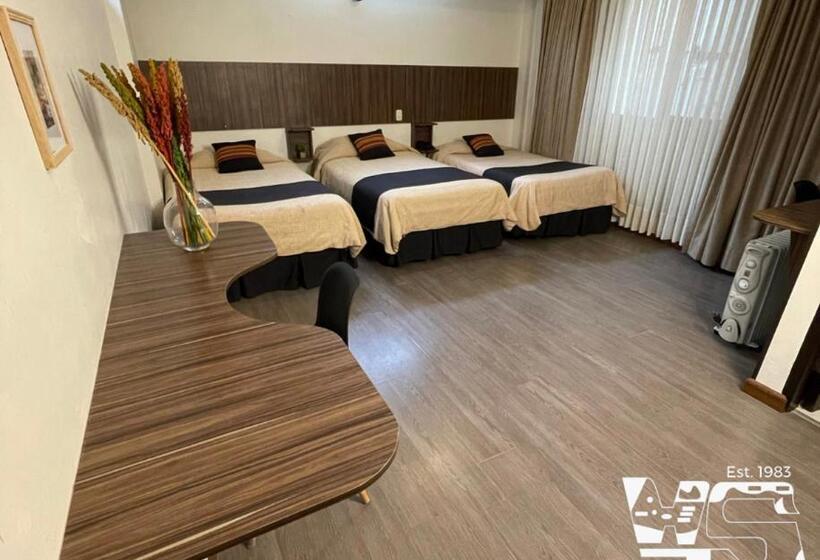 اتاق لوکس سه تخته, Sagarnaga