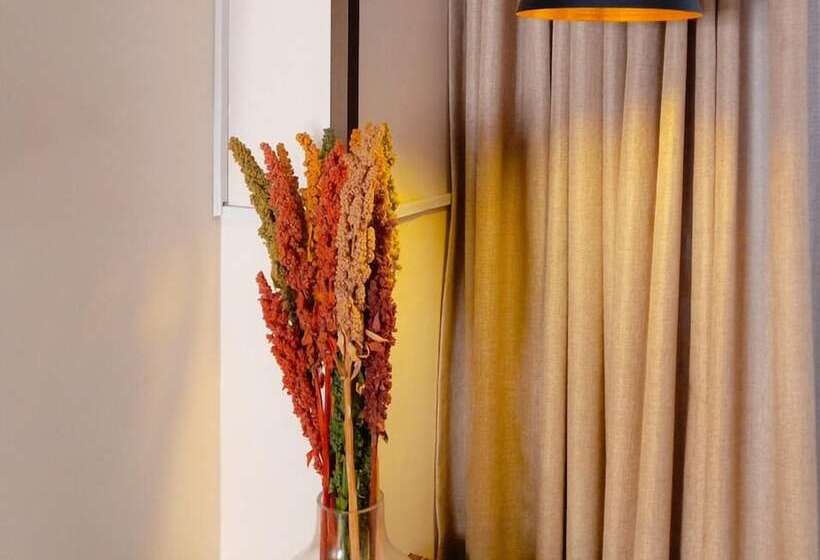 اتاق لوکس, Sagarnaga