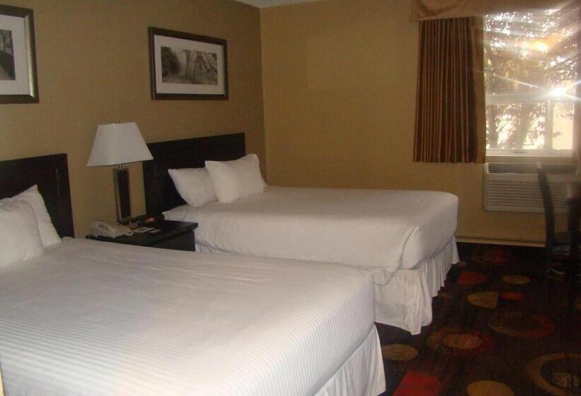 غرفة ديلوكس, Stonebridge