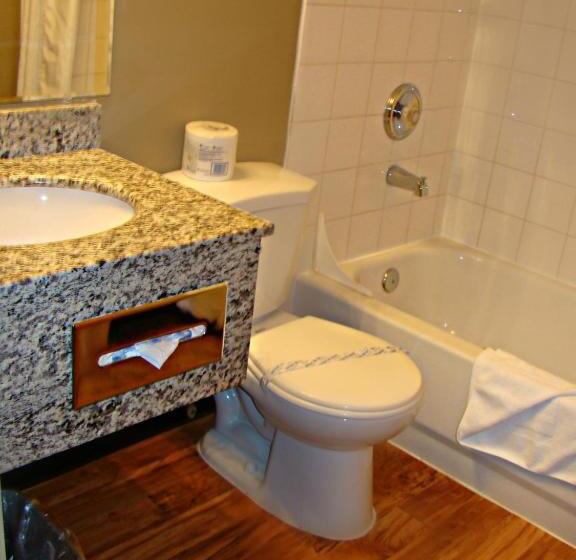 غرفة ديلوكس فردية, Stonebridge