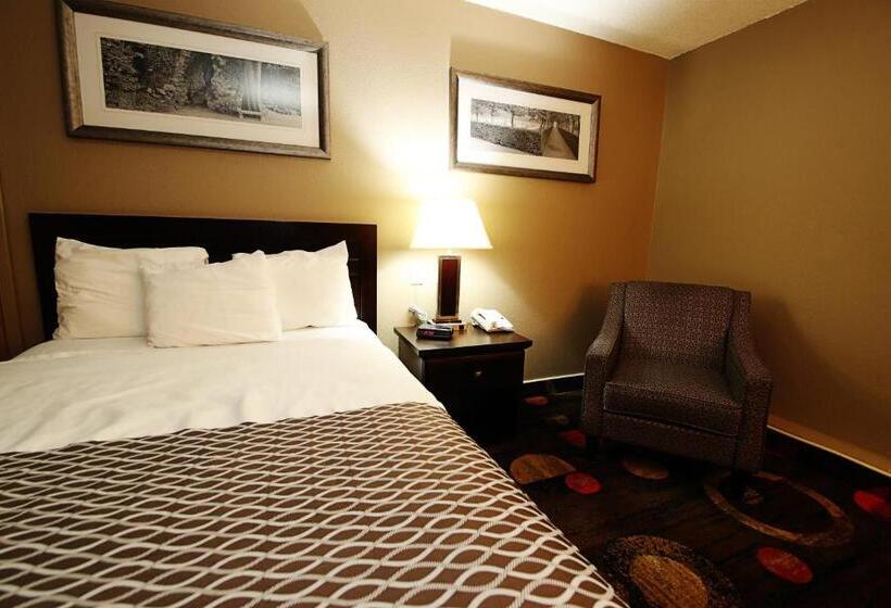 غرفة ديلوكس فردية, Stonebridge