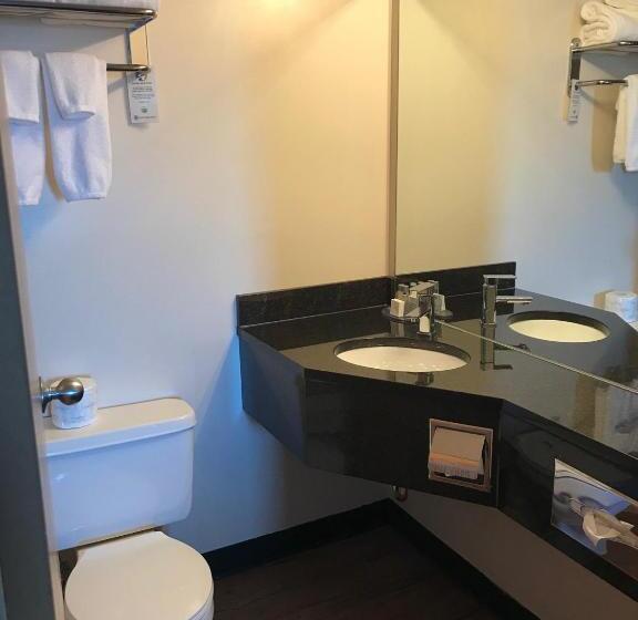 غرفة قياسية سرير كينج, Stonebridge