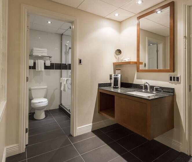 חדר סטנדרט, & Suites Le Dauphin Drummondville