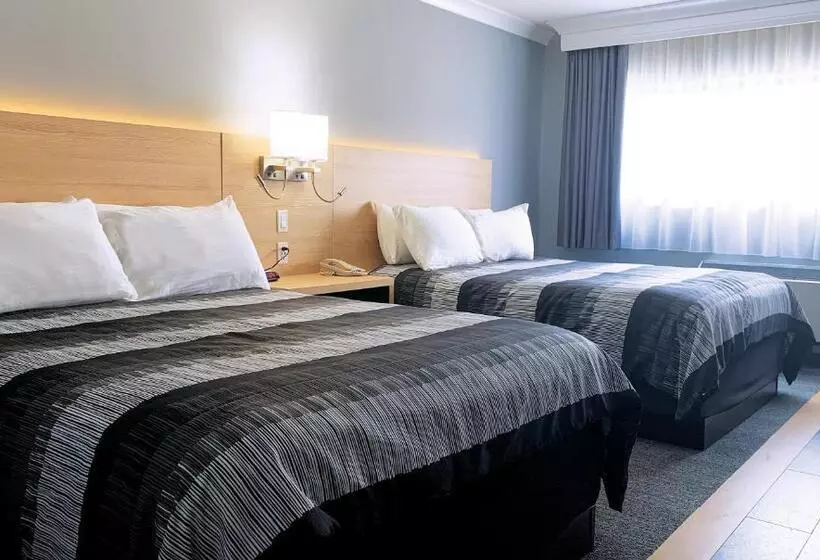 Deluxe-huone, Americana Waterpark Resort & Spa