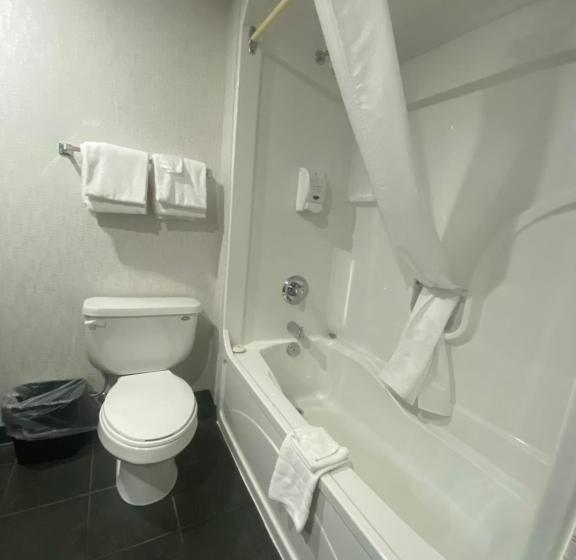 스위트, Americana Waterpark Resort & Spa