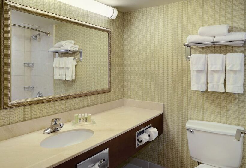 غرفة قياسية, Holiday Inn Hotel & Suites London, An Ihg