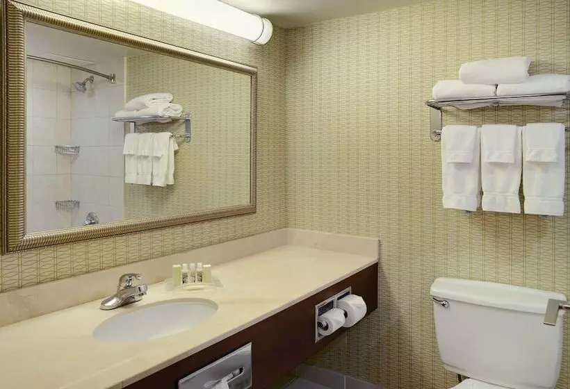 اتاق استاندارد, Holiday Inn Hotel & Suites London, An Ihg