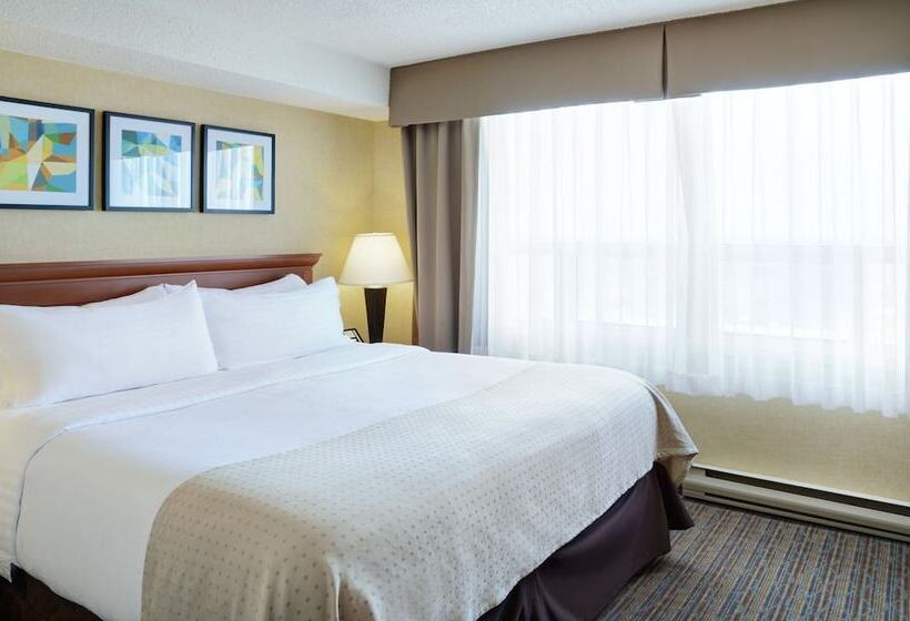 スタンダードルーム, Holiday Inn Hotel & Suites London, An Ihg