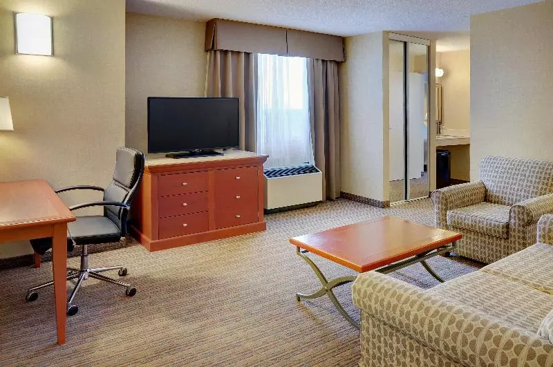 سوئیت با تخت بزرگ, Holiday Inn Hotel & Suites London, An Ihg