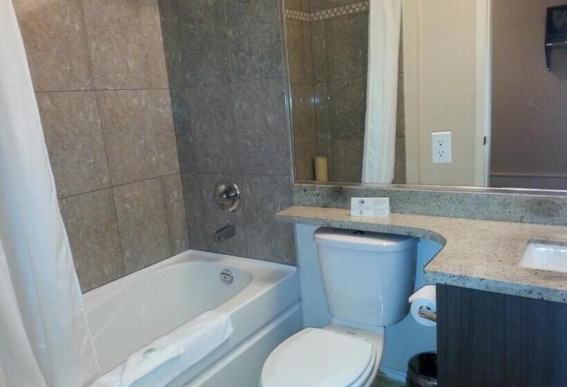 스탠다드 룸, Barclay