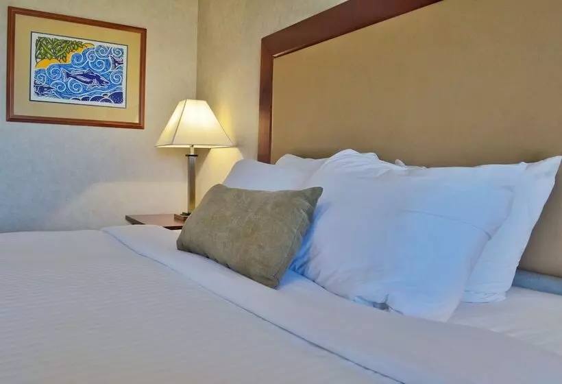 اتاق استاندارد با 2 تخت دوبل, Best Western Gold Rush Inn
