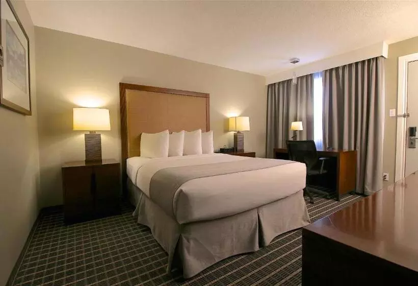 اتاق استاندارد, Clarion Pointe