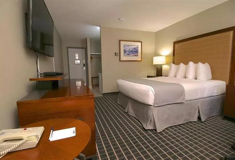 اتاق استاندارد با تخت بزرگ, Clarion Pointe