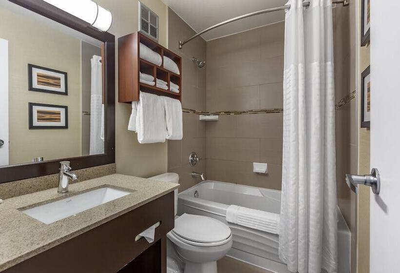 חדר סטנדרט שתי מיטות זוגיות, Comfort Inn Airport West