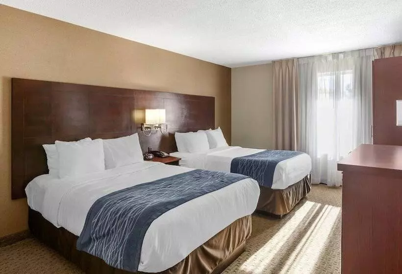 اتاق استاندارد با 2 تخت دوبل, Comfort Inn Airport West