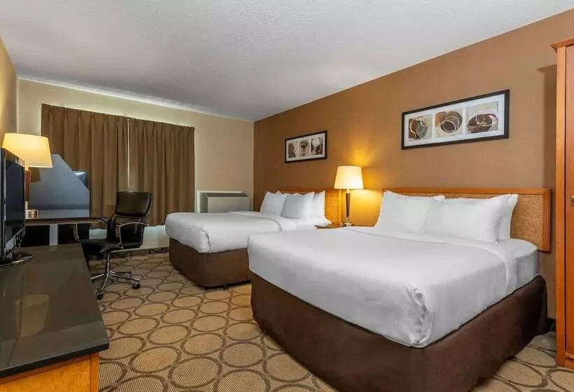 ２ダブルベッドのスタンダードルーム, Comfort Inn