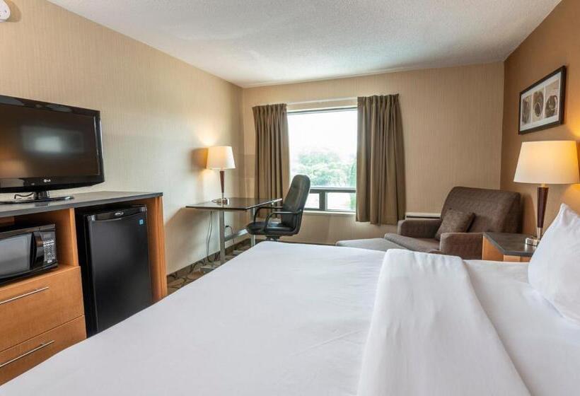 غرفة قياسية, Comfort Inn