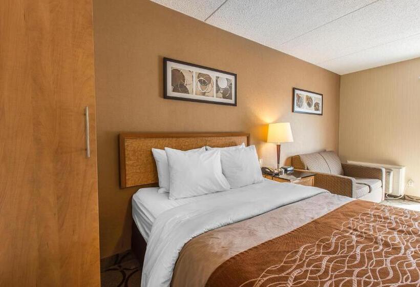 غرفة قياسية, Comfort Inn