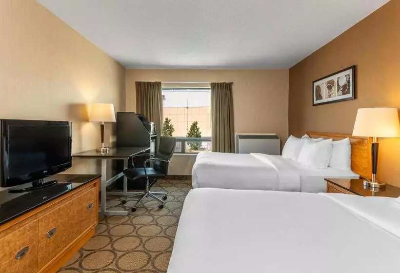 2ダブルベッドのスタンダードルーム, Comfort Inn