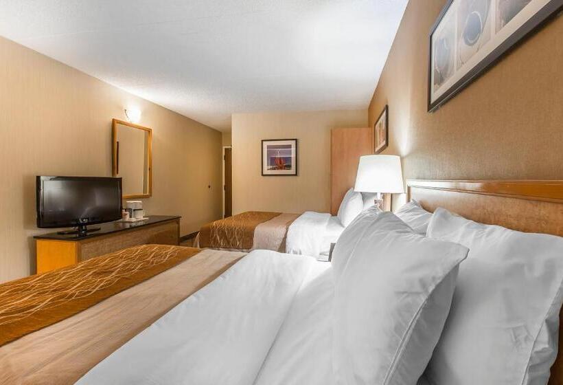 غرفه قياسيه سريرين مزدوجين, Comfort Inn