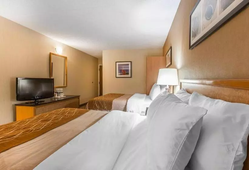 2ダブルベッドのスタンダードルーム, Comfort Inn