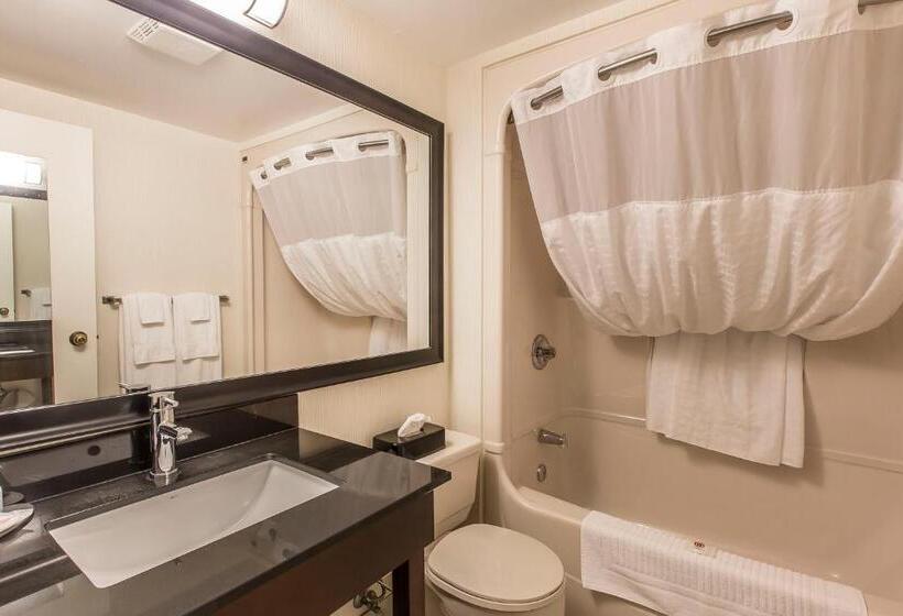 带2个双人床的标准工作室, Comfort Inn