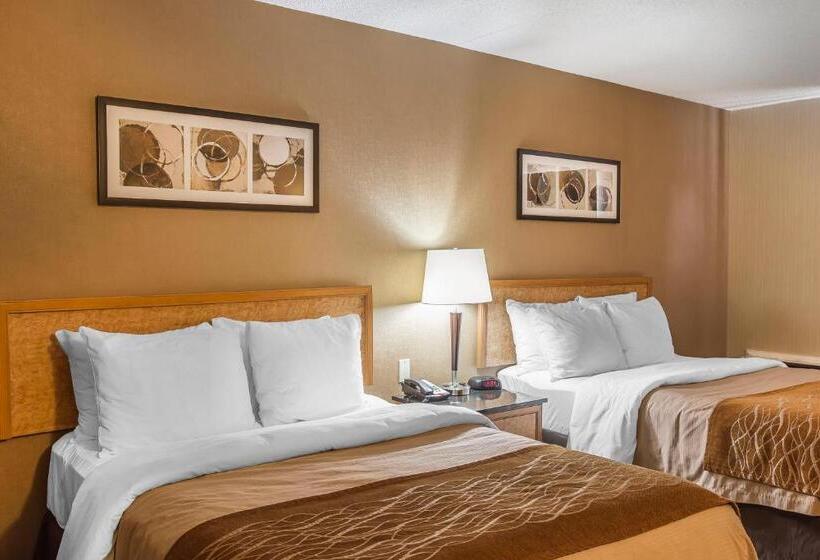 غرفه قياسيه سريرين مزدوجين, Comfort Inn