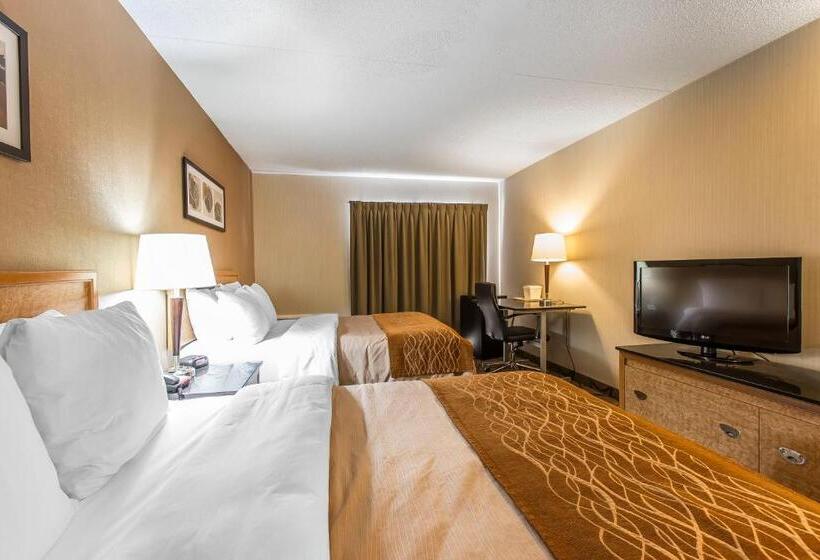 غرفه قياسيه سريرين مزدوجين, Comfort Inn