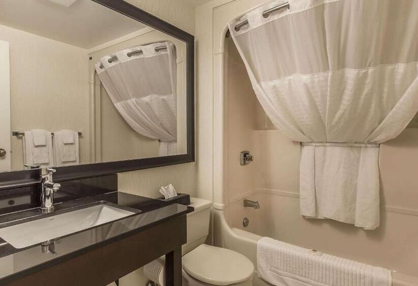 غرفة قياسية بالطابق الأرضى, Comfort Inn