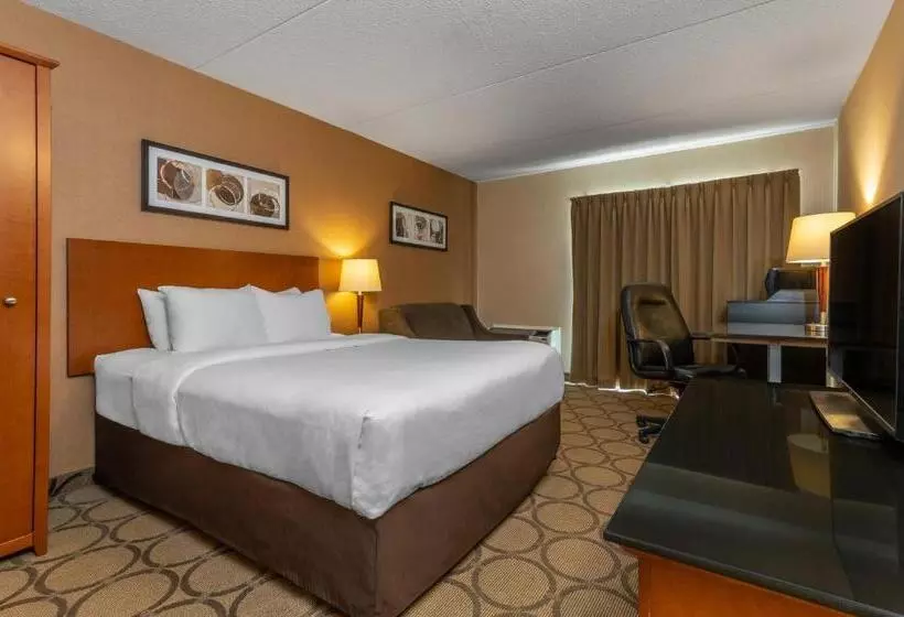 1階のスタンダードルーム, Comfort Inn