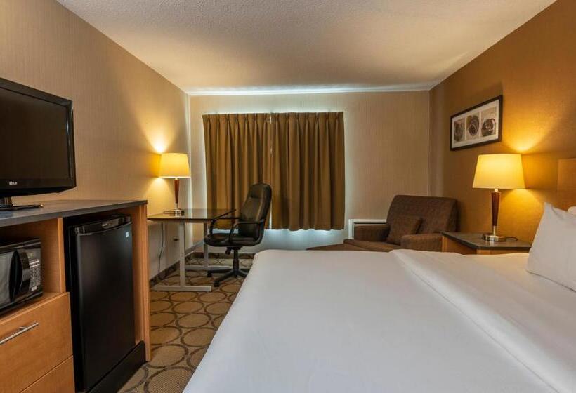 一楼标准间, Comfort Inn