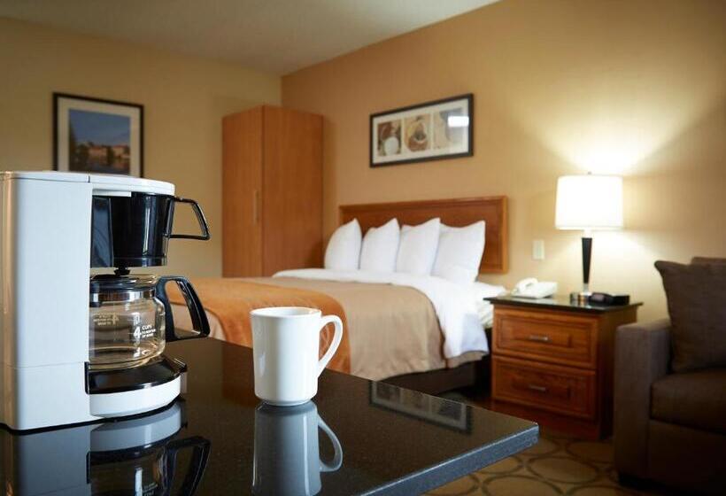 标准间, Comfort Inn