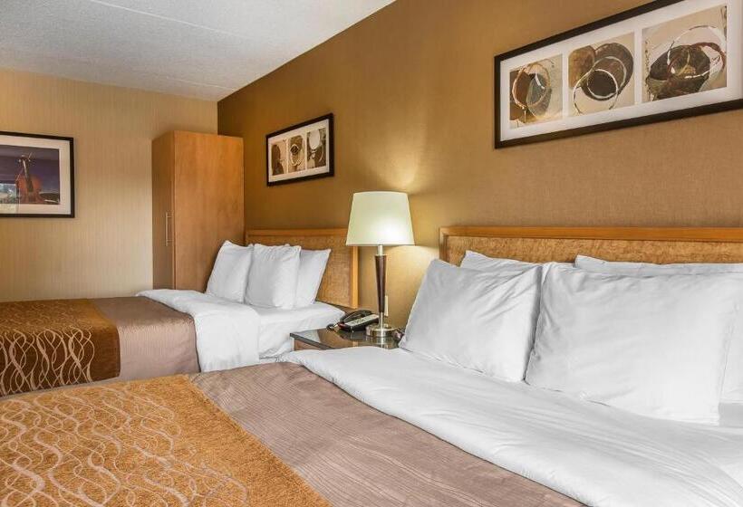 带2个双人床的标准工作室, Comfort Inn