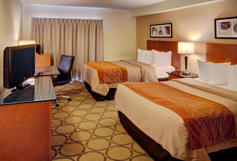 غرفه قياسيه سريرين مزدوجين, Comfort Inn