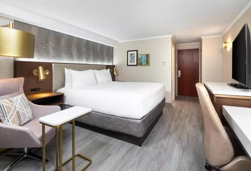 اتاق استاندارد با تخت بزرگ, Crowne Plaza Toronto Airport, An Ihg