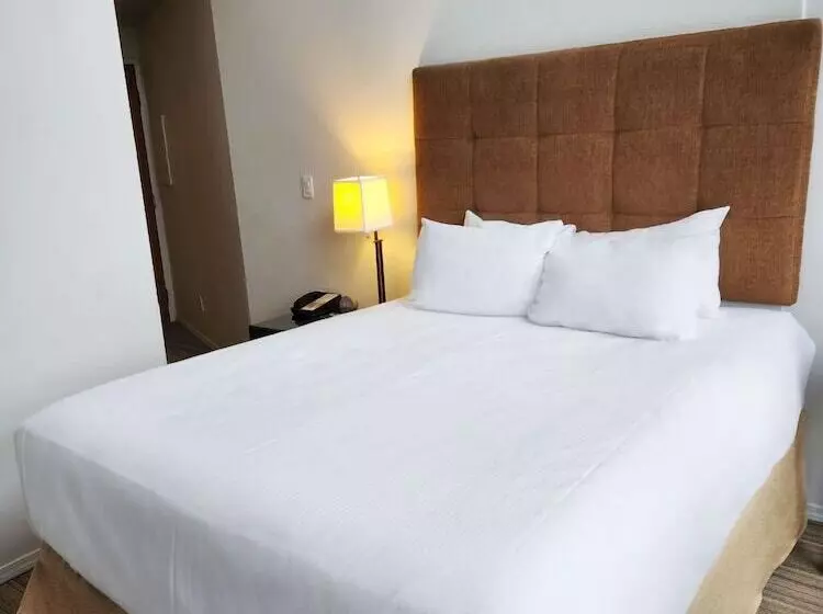 Basic-huone, Executive Inn Whistler