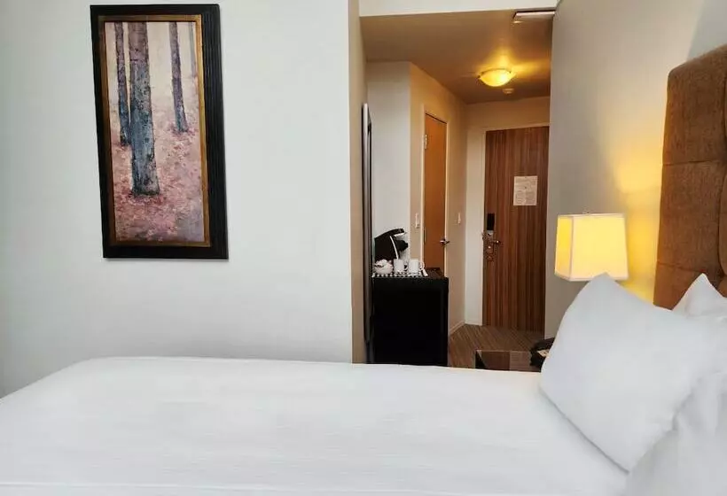 Basic-huone, Executive Inn Whistler