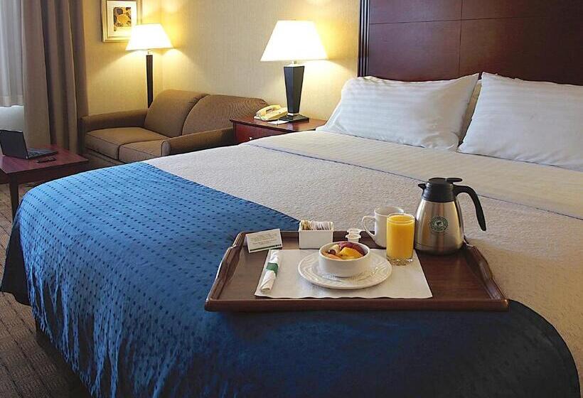 غرفة قياسية سرير كينج, Holiday Inn & Suites Winnipeg Downtown, An Ihg