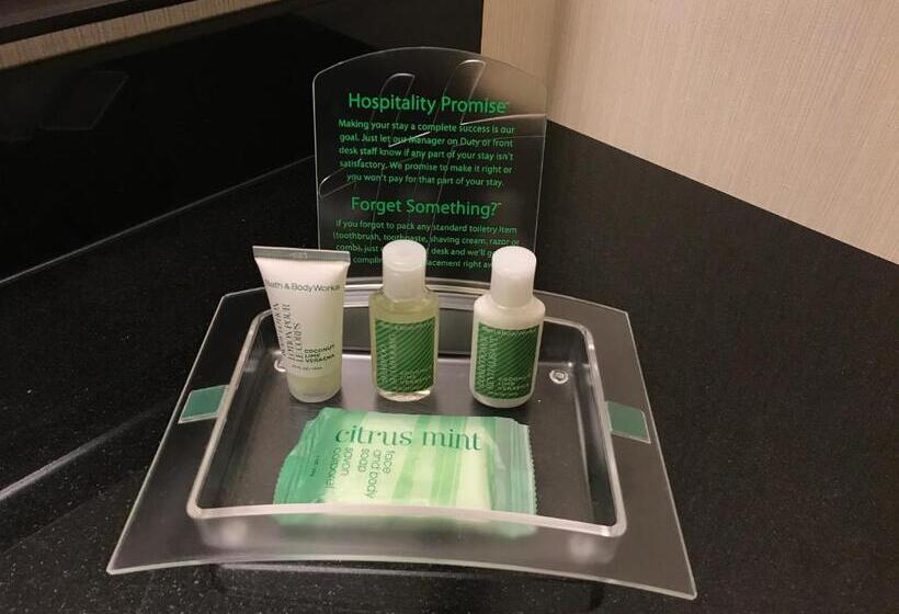 غرفة قياسية سرير كينج لذوى الإحتياجات الخاصة, Holiday Inn & Suites Winnipeg Downtown, An Ihg