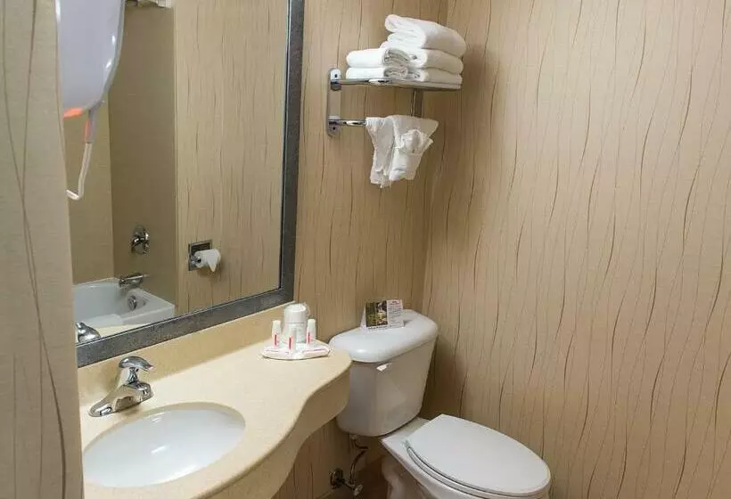 اتاق استاندارد با تخت بزرگ, Howard Johnson Plaza By Wyndham By The Falls Niagara Falls
