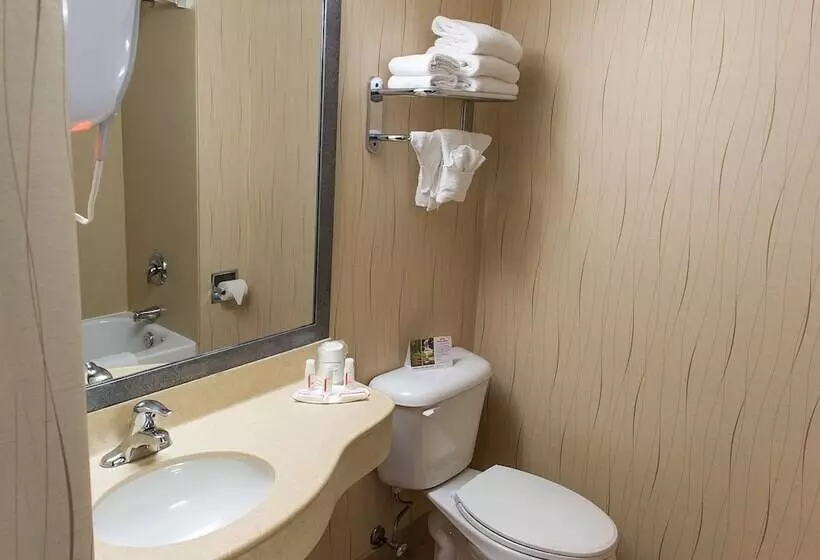اتاق استاندارد با 2 تخت دوبل, Howard Johnson Plaza By Wyndham By The Falls Niagara Falls