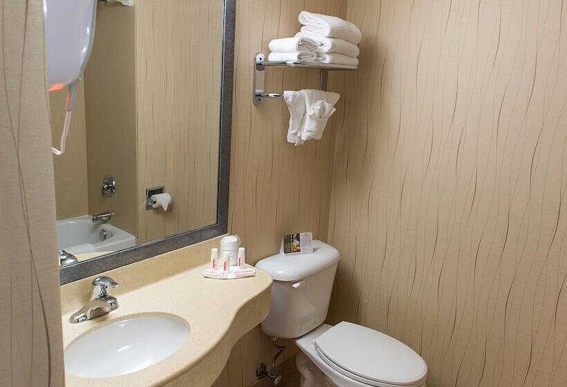 جناح عائلي, Howard Johnson Plaza By Wyndham By The Falls Niagara Falls