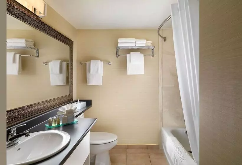 スタンダードルーム, Huntingdon Hotel And Suites