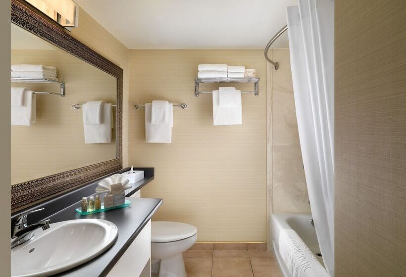 带2个双人床的标准工作室, Huntingdon Hotel And Suites