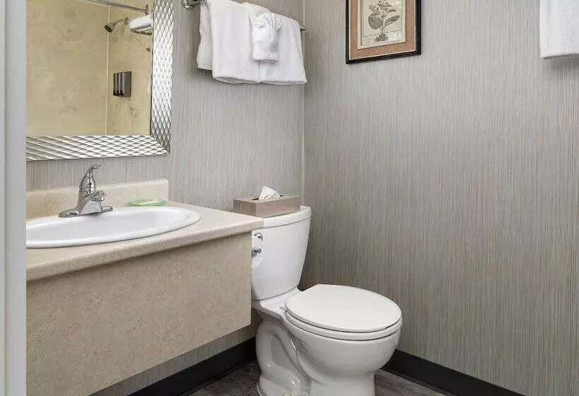سوییت خانوادگی, Huntingdon Hotel And Suites